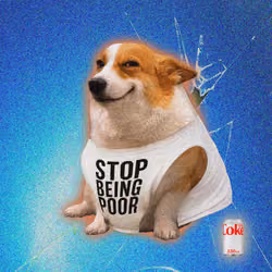 Cash Dogs #9417