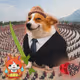 3491