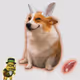 Cash Dogs #9944