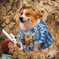 Cash Dogs #4476