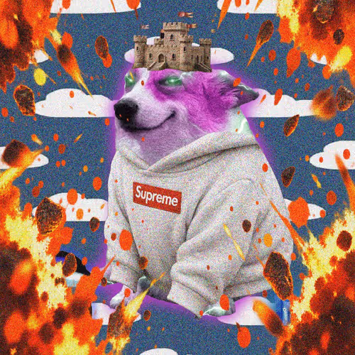 Cash Dogs #9168