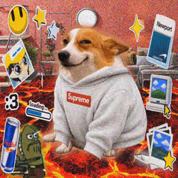Cash Dogs #4064