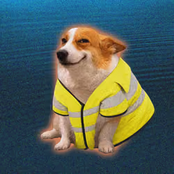 Cash Dogs #4986