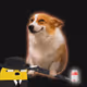 Cash Dogs #4884