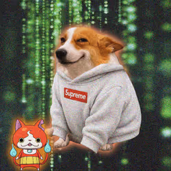 Cash Dogs #5211