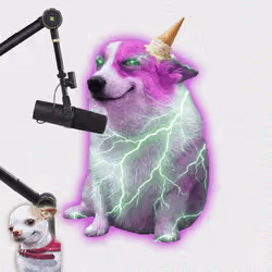 Cash Dogs #5089