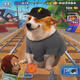 Cash Dogs #8144