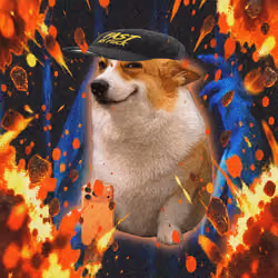 Cash Dogs #8385