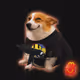 9552