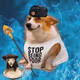 Cash Dogs #2338
