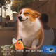 5021