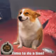 9580