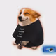 4883