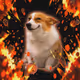 2493