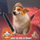 3043