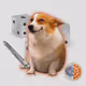 Cash Dogs #4276