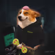 4054
