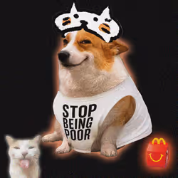 Cash Dogs #2285