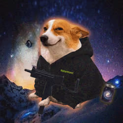 Cash Dogs #6826