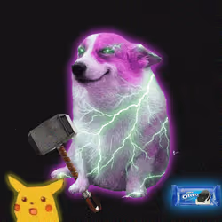 Cash Dogs #9202