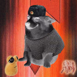 Cash Dogs #6342