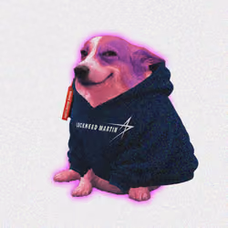 Cash Dogs #6658