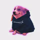 6658