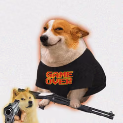 Cash Dogs #346