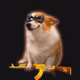 5255