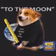4922