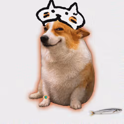 Cash Dogs #7247