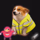 2461