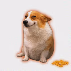 Cash Dogs #443