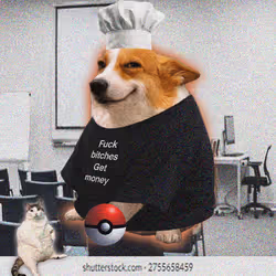 Cash Dogs #5269
