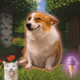 2961
