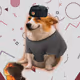 2749