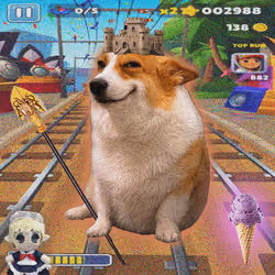 Cash Dogs #1339