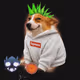 6538