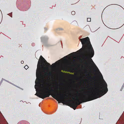 Cash Dogs #8963
