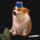 2888