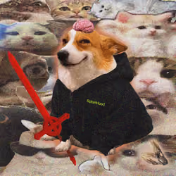 Cash Dogs #9817