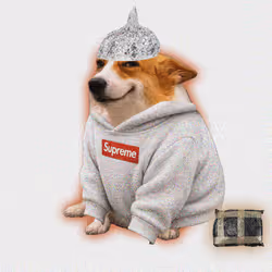 Cash Dogs #6380