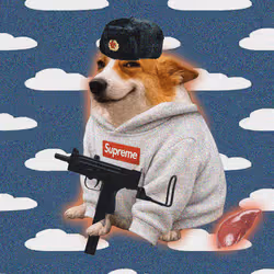 Cash Dogs #4601