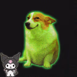 Cash Dogs #9590