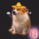 Cash Dogs #9387