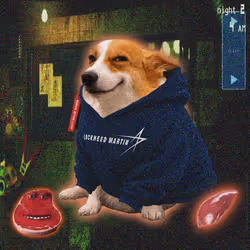 Cash Dogs #534