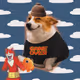 7976