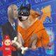 Cash Dogs #1443