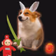 Cash Dogs #8186
