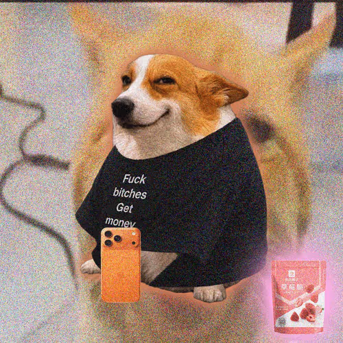 Cash Dogs #1337